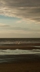 IMG 20211006 183601 0
