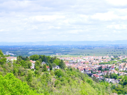 36-P1030041