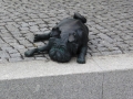 berlin-brandenburg-213