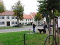 berlin-brandenburg-217
