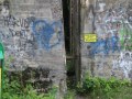 45-IMG_6494