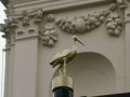 28-IMG_0143